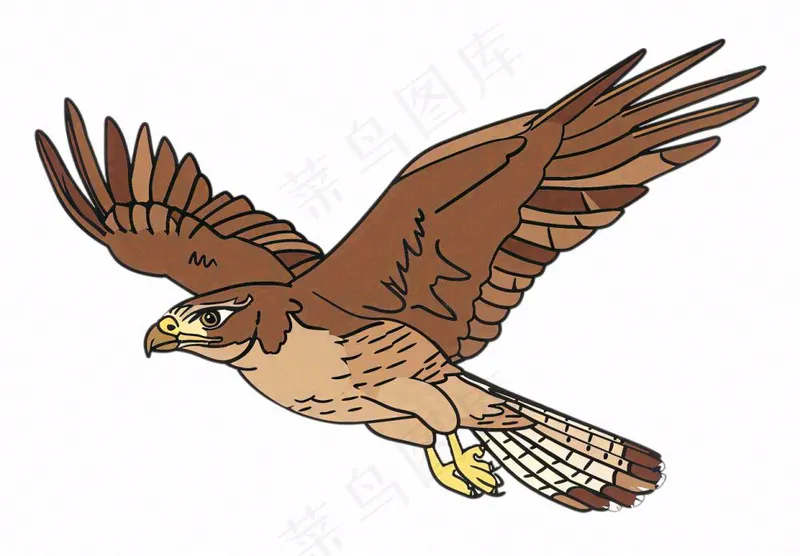 老鹰鸟类卡通插画免抠(1312x912)