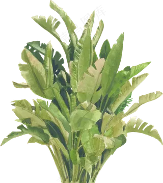 手绘植物免扣素材