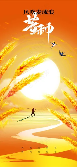 芒种节气传统活动海报
