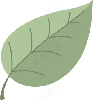 浅色的绿叶