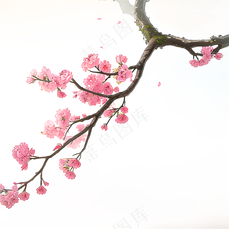 粉色手绘梅花一枝梅素材1