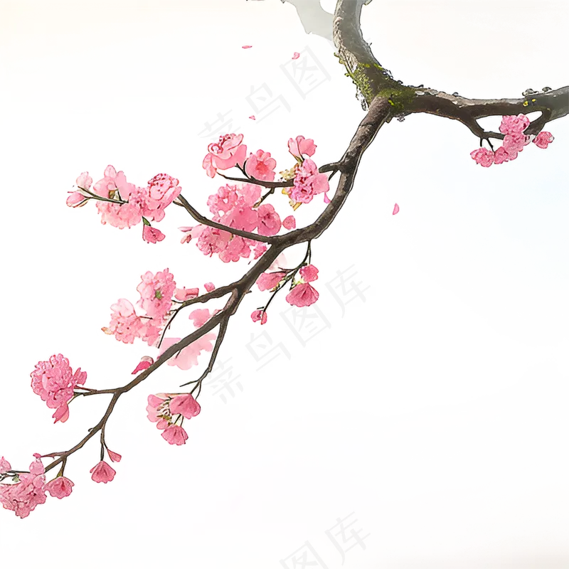 粉色手绘梅花一枝梅素材1