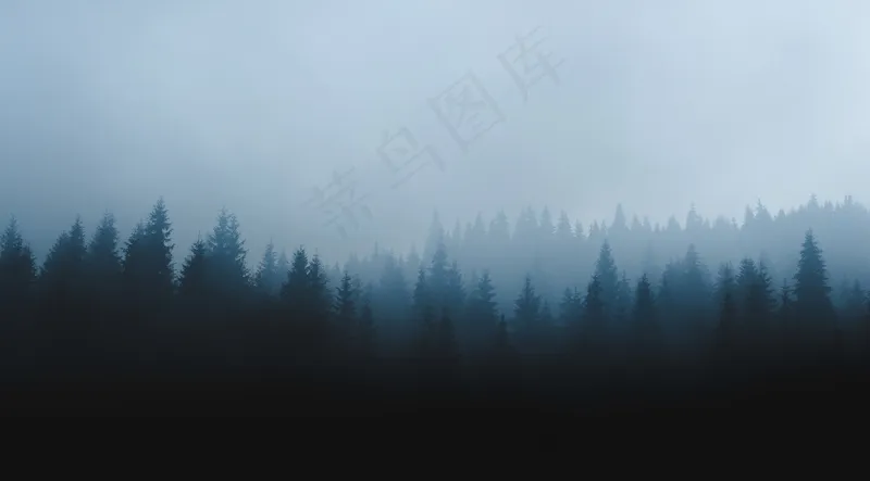 云雾森林图片