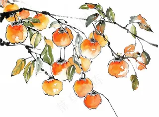 柿子杏树水墨画中国风插画免抠