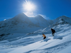 冰景  雪景  冬季风景