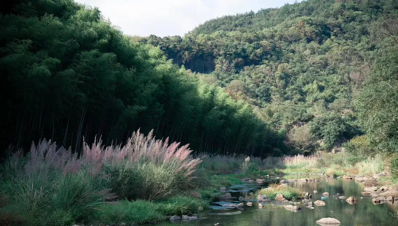 绿色自然风山水图片