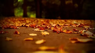 经典风景壁纸美图  (4)