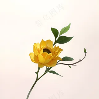 白色黄色手绘新中式风格花植物95 白色黄色手绘新中式风格花植物95