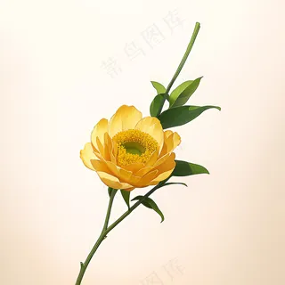 白色黄色手绘新中式风格花植物36