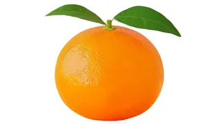 橘子砂糖橘手绘插画插图免抠