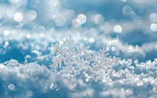 冬天雪花闪耀素材唯美立冬冬至小雪大雪摄影图