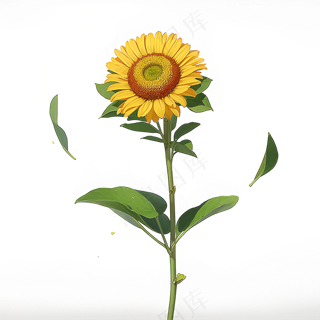 黄色向日葵免抠素材103
