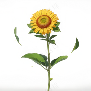 黄色向日葵免抠素材103