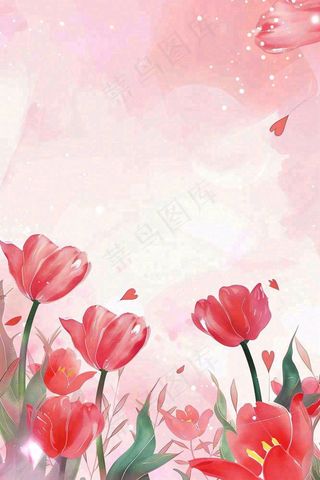 红色郁金香粉色背景浪漫七夕情人节插画背景