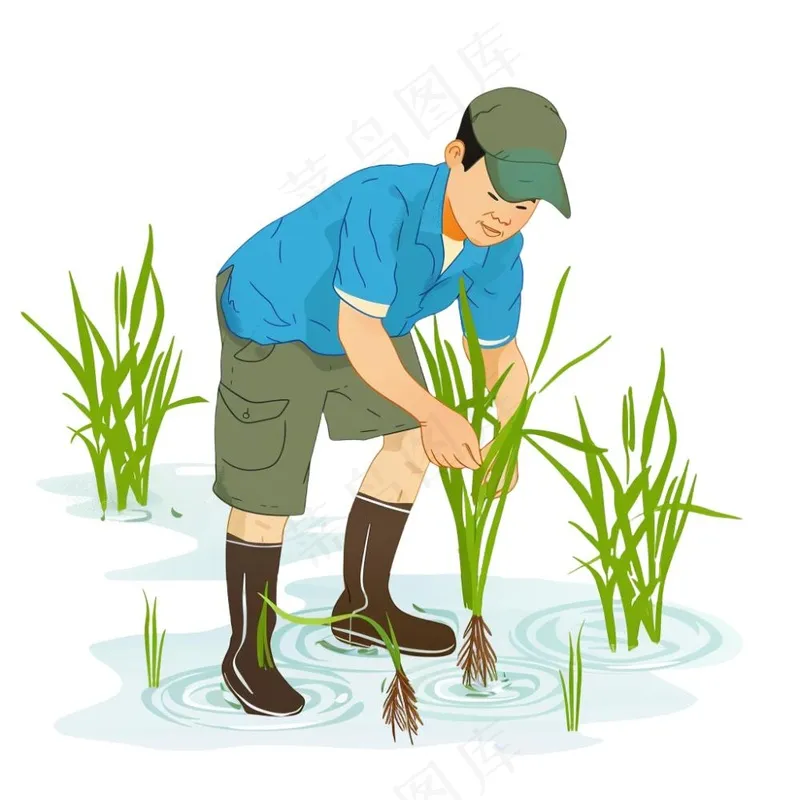 农民种植水稻庄稼劳动人民卡通插画免抠(1024x1024)