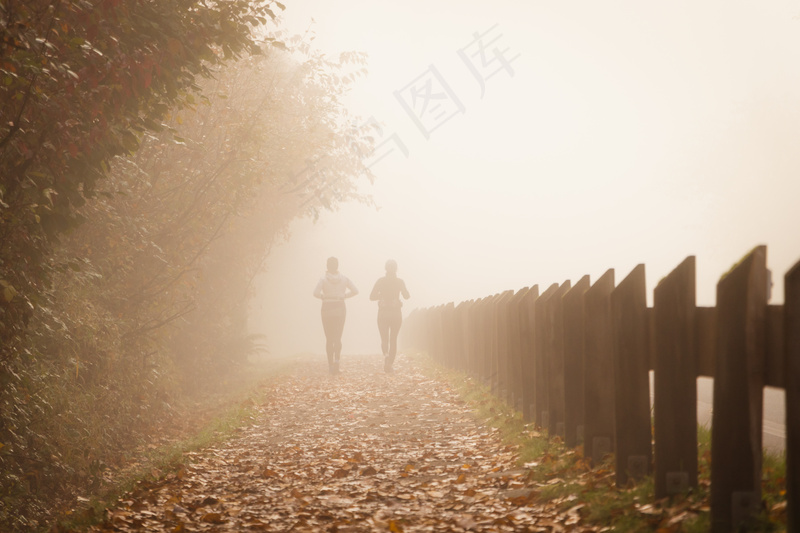 云雾森林图片