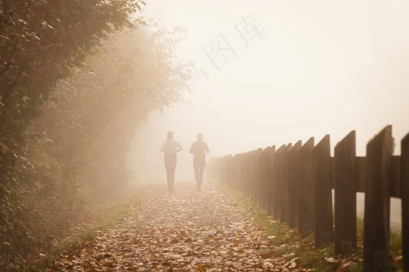 云雾森林图片