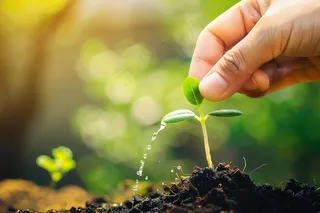 手捧树苗植树保护环境公益活动摄影图