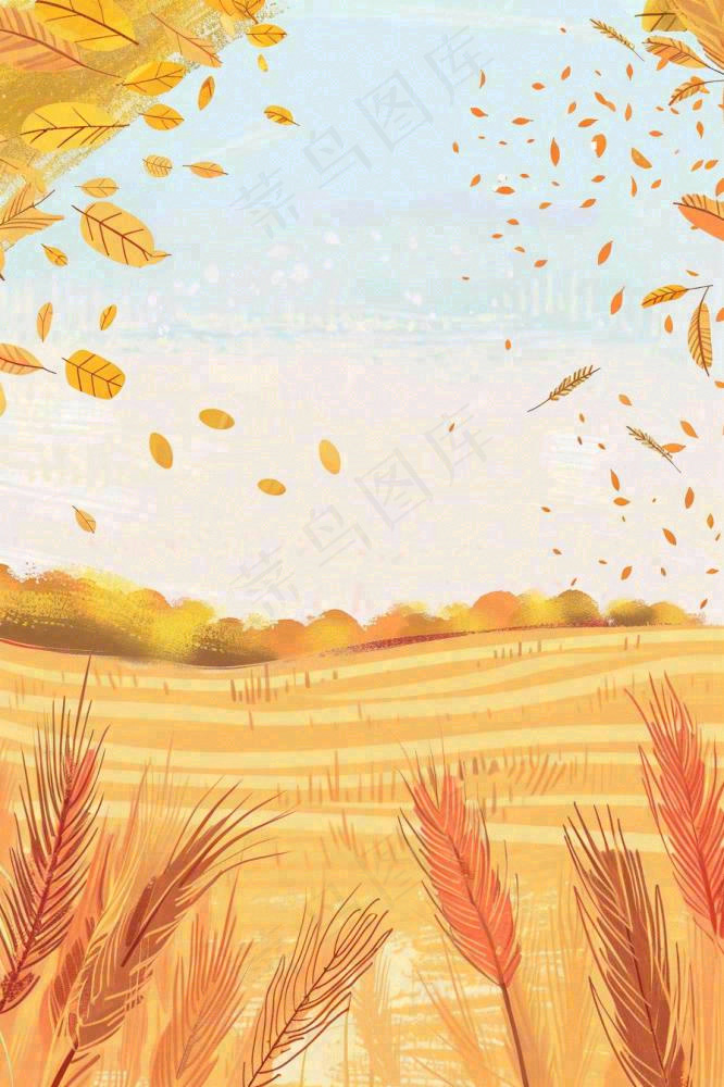 秋天金黄的麦田小麦黄树秋风丰收的季节立秋秋分卡通插画背景(896x1344)