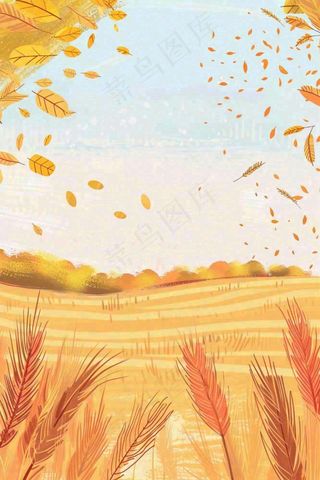 秋天金黄的麦田小麦黄树秋风丰收的季节立秋秋分卡通插画背景