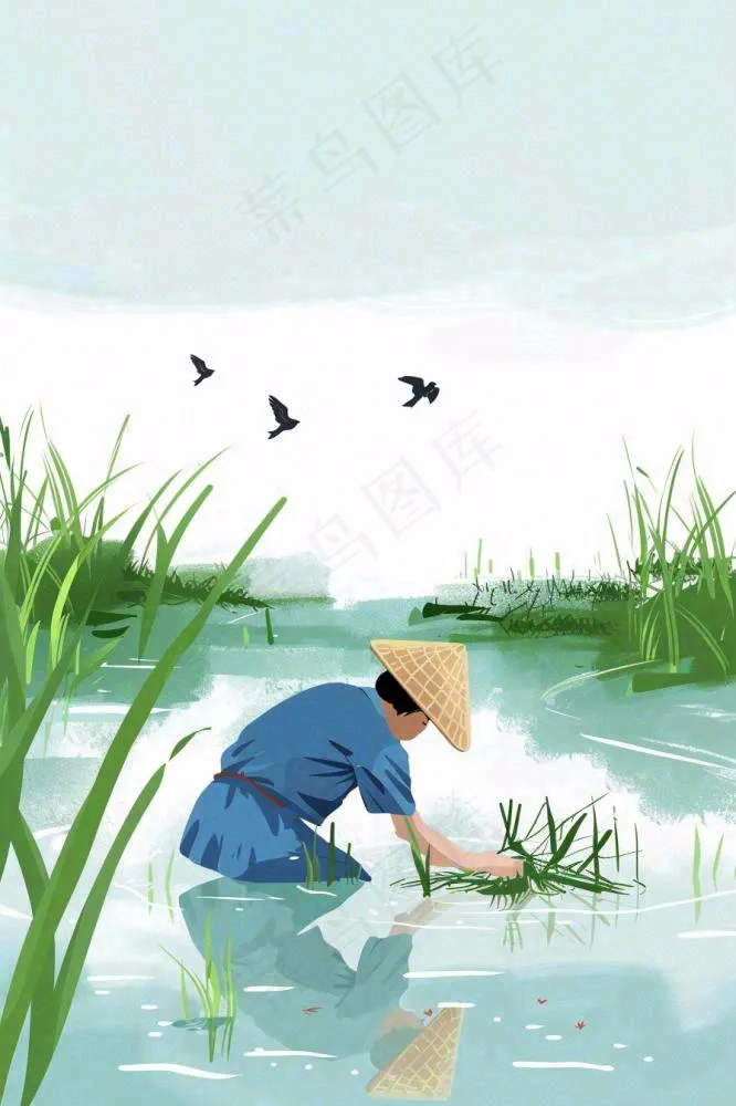 春耕农民种植水稻水田春雨燕子小满芒种春分卡通插画背景(896x1344)