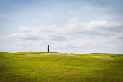 绿色大麦田油菜花自然景观2