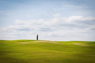 绿色大麦田油菜花自然景观2