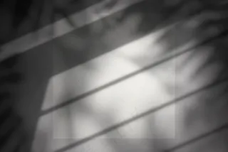 单色硬壳书籍质感样机53