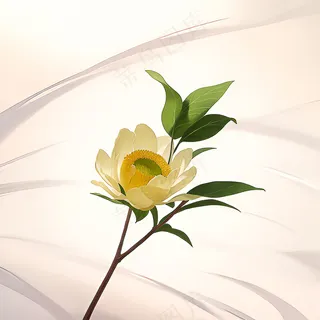 白色黄色手绘新中式风格花植物58