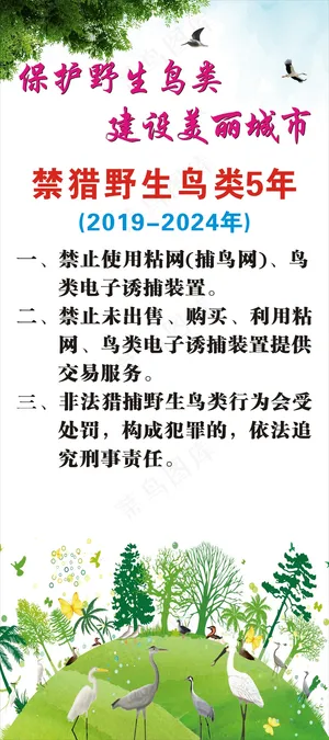 保护野生鸟类展架2