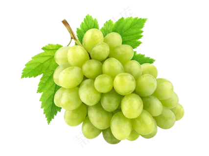 青提子免抠图 青提子免抠图