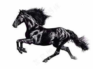飞驰的骏马黑马动物免抠