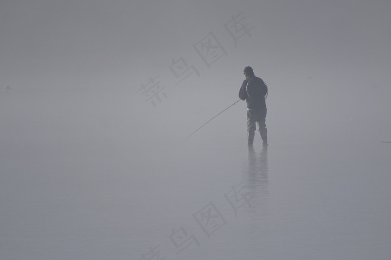 云雾森林图片