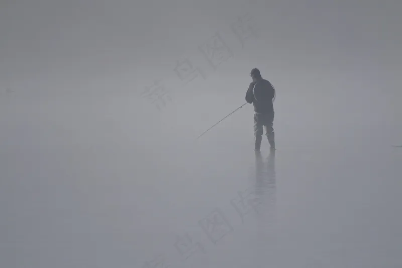 云雾森林图片