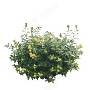 免抠开花灌木