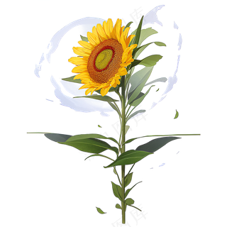 黄色向日葵免抠素材19