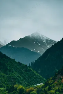 云雾缭绕的山谷 云雾缭绕的山谷