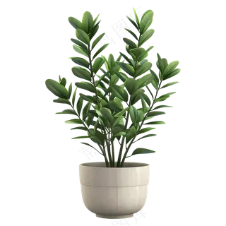 免扣白色盆子绿植