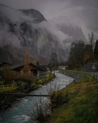 雪山之巅与金色草地的和谐风景