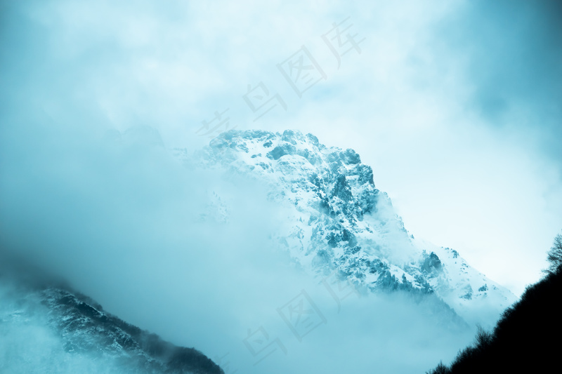 云雾森林图片 高清 摄影 素材 树林
