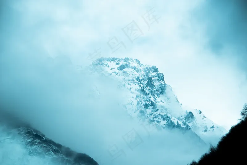云雾森林图片 高清 摄影 素材 树林