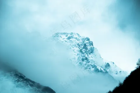 云雾森林图片 高清 摄影 素材 树林 云雾森林图片 高清 摄影 素材 树林