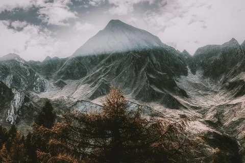 云雾缭绕的山脉与枯黄树木 云雾缭绕的山脉与枯黄树木
