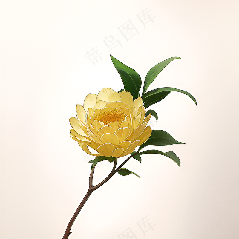 白色黄色手绘新中式风格花植物199