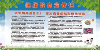 健康教育宣传栏展板