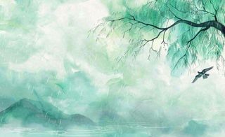 春天梅雨季柳树燕子清冷雨水谷雨惊蛰清明节水墨水彩插画背景