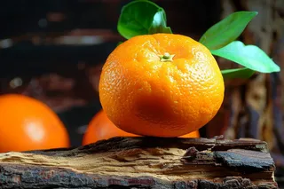 砂糖橘水果橘子摄影图