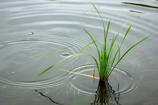 梅雨时节池塘河流小溪水洼地摄影图