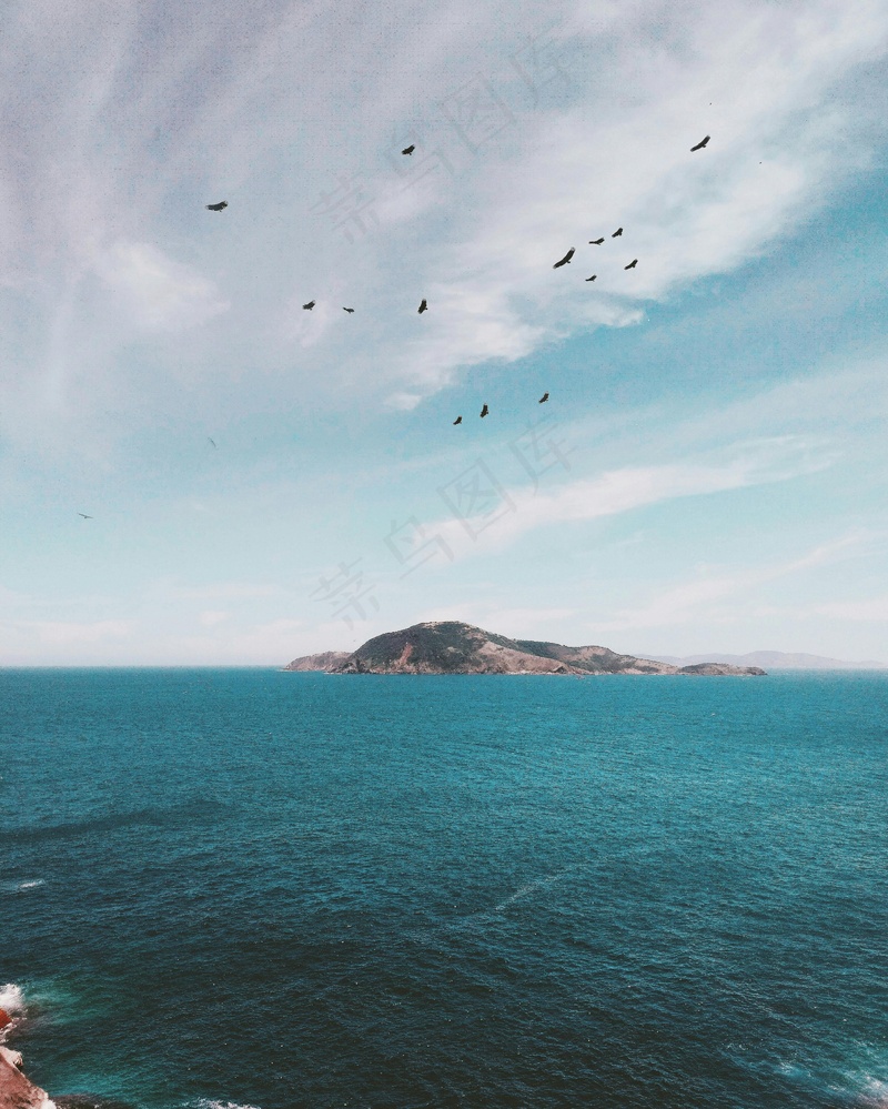 海鸟在碧波上空自由翱翔