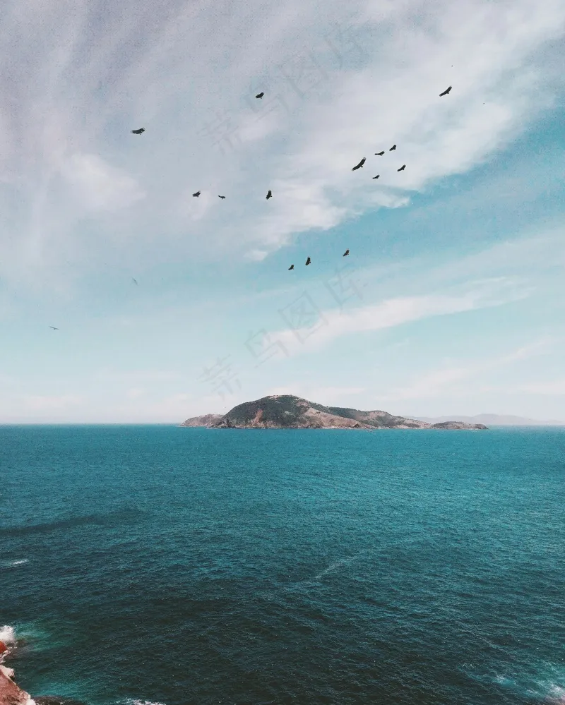 海鸟在碧波上空自由翱翔